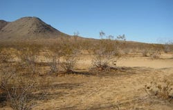 FALCHION Road, Apple Valley, CA 92307