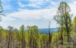 172 Sunny Ridge Road, Hendersonville, NC 28739