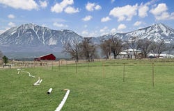 11541 Crawford Road, Paonia, CO 81428