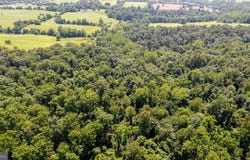 Lot W-10-121 ON BEAVERDAM, MIDDLEBURG, VA 20117