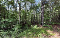 916 Virgin Mary Road, Camden, MS 39045