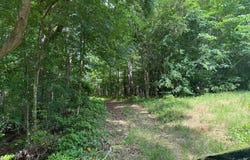 1525 Hwy 8, Houston, MS 38851