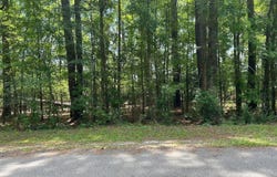 Lot 18 Robin Dr, Bamberg, SC 29003