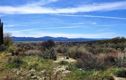 1 Mitchell Road, Anza, CA 92539