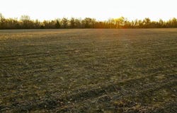 49 NW 100th Road, Sheldon, MO 64784