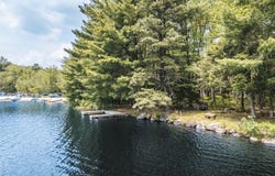 5290 woodland Avenue, Pocono Pines, PA 18350