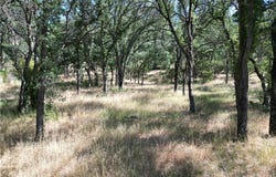 16625 Rancho Tehama Road, Corning, CA 96021