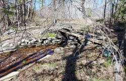 1308 Goshen st, Jewett, NY 12444