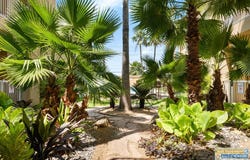 6410 Padre Blvd., South Padre Island, TX 78587
