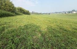 Bluestem Ln lot: 45, Trempealeau, WI 54661