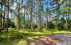 Live Oak, FL 32060