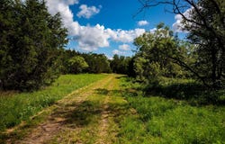 16162 FM-581, Lometa, TX 78653