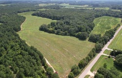 0 County Road 4, Hartford, AL 36344