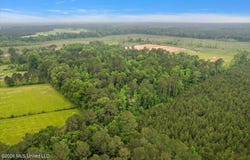 Calhoun Lane, Forest, MS 39074