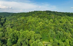 0 Jones Road, Vinton, OH 45686