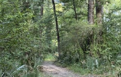 1402 Hwy 854, Delhi, LA 71232