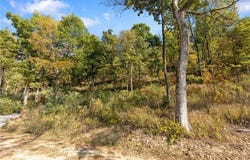 Lot 9 Peaceful  PL, Harrison, AR 72601