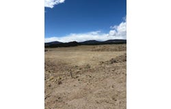 69 Buggy Court, Hartsel, CO 80449
