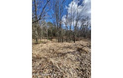 Machell Avenue, Dallas, PA 18612
