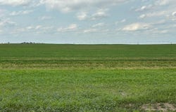 Cope, CO 80812