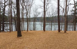 LAKE RIDGE POINT, TALLADEGA, AL 35160