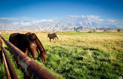 11448 W HIGHWAY 6, Goshen, UT 84633