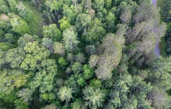 Lot 2 DADS LAKE RD, Eagle River, WI 54521