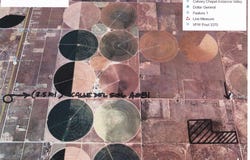 C. DEL SOL A081/MULBERRY A146, McIntosh, NM 87032