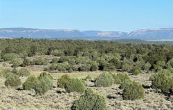 Highway 84/64, Tierra Amarilla, NM 87575