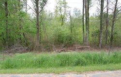 67 51st Avenue, Gruetli Laager, TN 37339