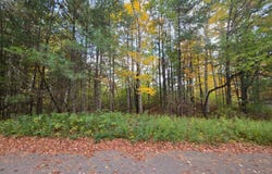 9 Lots MCKINLEY ST, Tomahawk, WI 54487