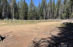 351 Mule Lovers Lane, Indian Valley, CA 96041