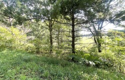 B Grand River Road, Rives Junction, MI 49277