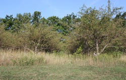 Crooked Stick Ct, Egg Harbor, WI 54209