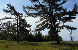 16167 US Highway 2, Cooks, MI 49817