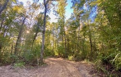 Quinlivan Rd, Magnolia, MS 39652