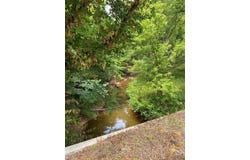 CR 4130, Mount Vernon, TX 75457