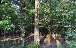 Tract B MC 5056, Everton, AR 72633