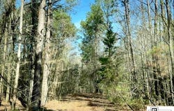 MARTIN LANE, West Monroe, LA 71291