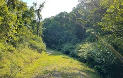 52 TUPELO, SPRINGFIELD, WV 26763