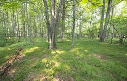 GILKEY LAKE Road, CRIVITZ, WI 54114