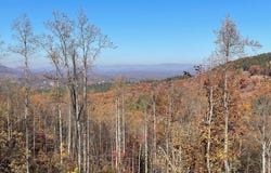 Lt185 Thirteen Hundred, Blairsville, GA 30512