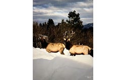 Mitten Second Sub Blk 2 Ptn Lot 4 Or Tax 554, Garden Valley, ID 83622