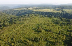166 Acres Hwy 377, Marshall, AR 72650