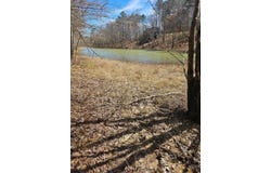 LOT 61 SHORESIDE AT SIPSEY, Houston, AL 35572
