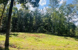 Excalibur Trail ( Lot 232), Cedar Grove, TN 38321