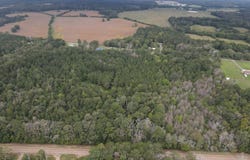 Ms-35, Forest, MS 39074