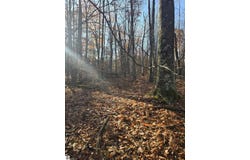 Lucerne Drive lot: #263, Reed City, MI 49677