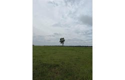 Holdenville, OK 74848