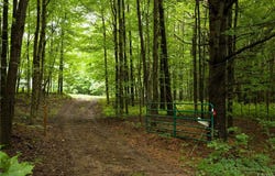 12086 Beartown Road, Croghan, NY 13327
